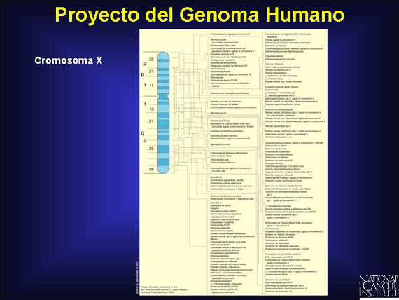 Proyecto del Genoma Humano