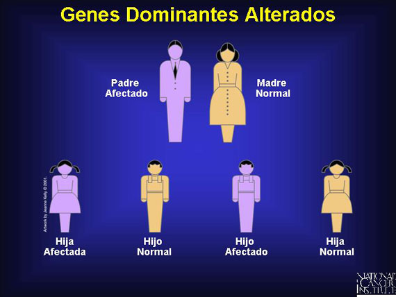 Genes Dominantes Alterados