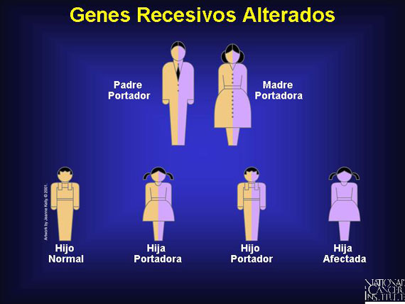 Genes Recesivos Alterados