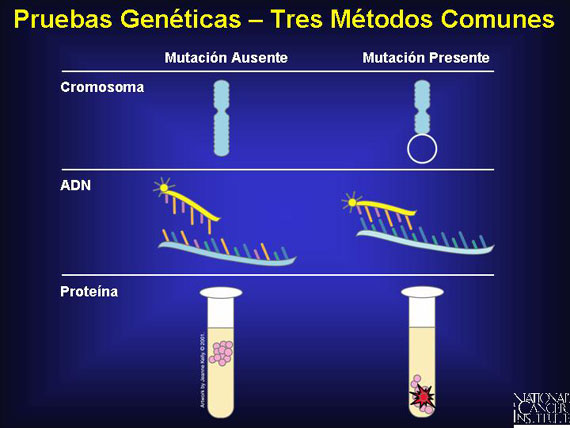 Pruebas Genéticas - Tres Métodos Comunes