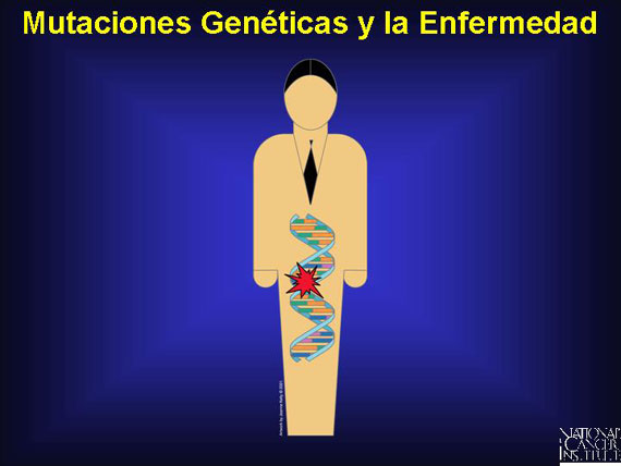 Mutaciones Genéticas y la Enfermedad
