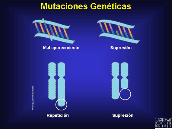 Mutaciones Genéticas 