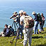 Volunteers monitoring harbor seals with spotting scopes
