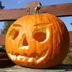 Photo of Pumpkin at C&O Canal Living History program Life and Death on the C&O Canal.