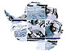 Collage of Antarctica pictures