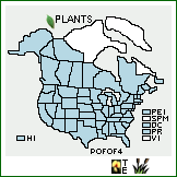 Distribution of Potamogeton foliosus Raf. ssp. foliosus. . 