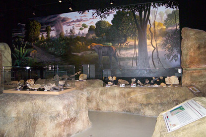 Image of the exhibit gallery inside the Thomas Condon Paleontology center.