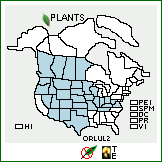 Distribution of Orobanche ludoviciana Nutt. ssp. ludoviciana. . 