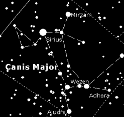 Canus Major