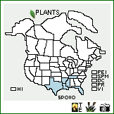 Distribution of Spiranthes ovalis Lindl. var. ovalis. . Image Available. 