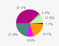 Pie chart: in table form below