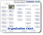 Org Chart