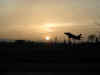 Picture of a Mongolian Dust sunset over Grand Junction, Colorado