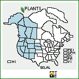 Distribution of Sedum lanceolatum Torr. ssp. lanceolatum. . 