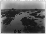 [Jackson Ranch--Irrigating alfalfa: filling a check--Kern County, California]