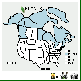 Distribution of Mertensia maritima (L.) Gray var. maritima. . Image Available. 