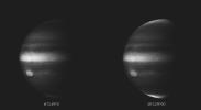 Polarized Light from Jupiter