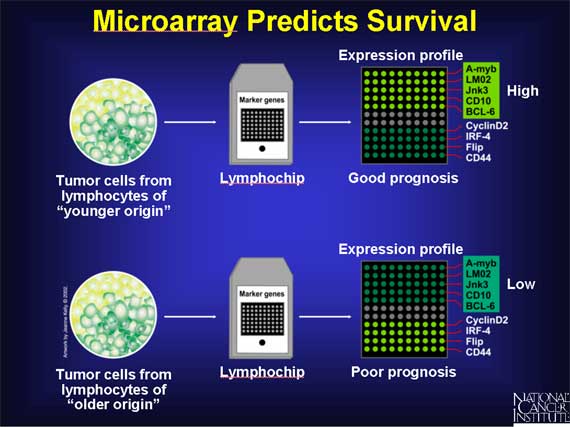 Microarray Predicts Survival