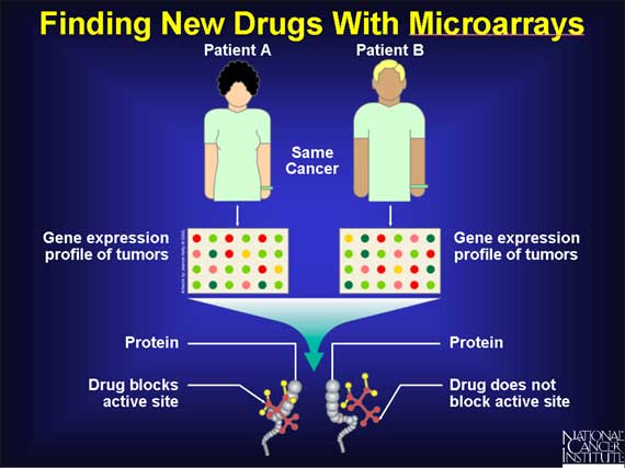 Finding New Drugs With Microarrays