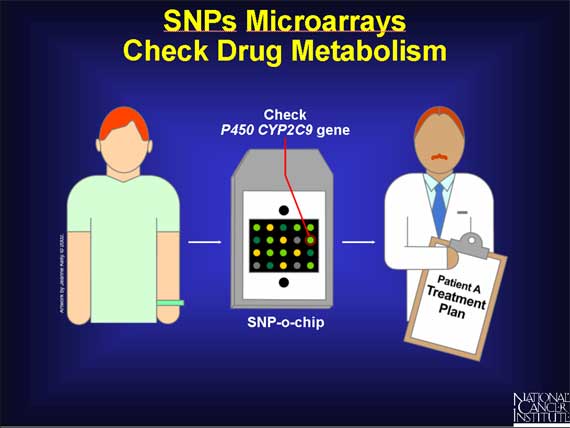 SNPs Microarrays Check Drug Metabolism