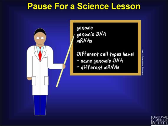 Pause For a Science Lesson
