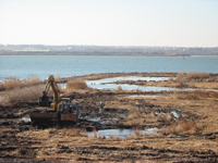 Construction of the Fort McHenry marsh.
