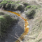 Salmon Creek Estuary Restored.