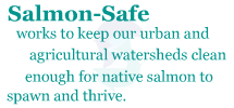 Salmon Safe objectives