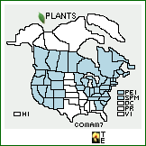 Distribution of Corallorhiza maculata (Raf.) Raf. var. maculata. . 