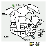 Distribution of Evolvulus sericeus Sw. var. glaberrimus B.L. Rob.. . 