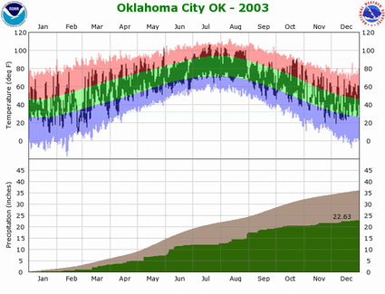 Temperature and Precipitation Plot for 2008