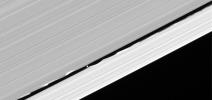 Daphnis drifts through the Keeler gap, at the center of its entourage of waves