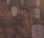 Gravestones of Culpeper National Cemetery