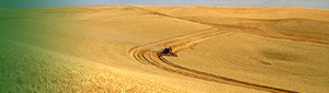 Vegetable and Forage Crops Research Laboratory Site Logo