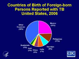 Slide 17: Countries of Birth for Foreign-born Persons Reported with TB, United States, 2006. Click here for larger image