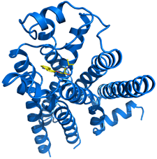 Three-dimensional model of protein.