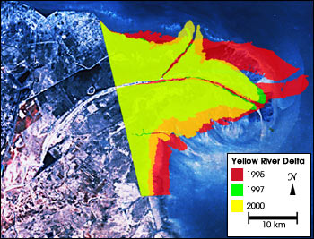 Delta Shrinkage 1995-2000