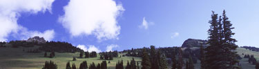 Sunrise meadows with clouds and blue sky.