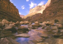 Image of the Colorado River flowing thru the Grand Canyon