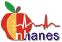 N H A N E S National Health and Nutrition Examination Survey logo