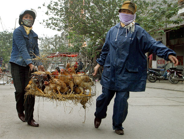 Vietnamese women carry a basket of chickens through the street in Hanoi, Vietnam on Thursday, March 31, 2005. [AP/Wide World Photos]