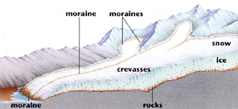 Drawing of a section of a glacier with parts labeled