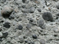 Photo of a slab of limestone that is covered with fossils.