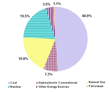 Figure 2:	Net Generation Shares by Energy Source: Total (All Sectors), Year-to-Date through June, 2008