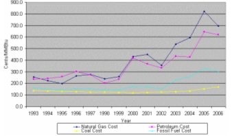 Figure ES 4. Fuel Costs for the Electricity Generation, 1993 – 2006