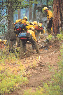 Photo of firefighters on fireline.