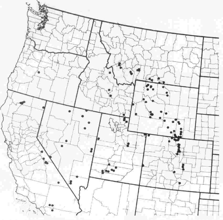 map of limber pine dwarf mistletoe locations in the western U.S.