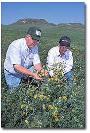 Scientists in the field