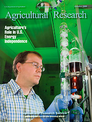 Cover of October 2008 Agricultural Research Magazine: Link to Table of Contents online