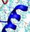 In this simulation, five alpha-synuclein protein molecules create a ring-like aggregate in the intracellular surface layer of the cell membrane.